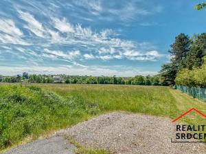 Prodej pozemku pro bydlení, Sedliště, 4038 m2