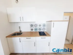 Pronájem bytu 1+kk, Plzeň, Technická, 29 m2