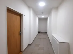 Pronájem bytu 1+kk, Plzeň, Technická, 29 m2