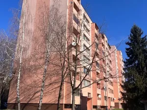 Dražba bytu 2+1, Frýdek-Místek, Horymírova, 65 m2