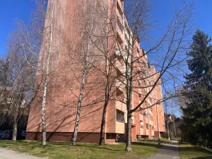 Dražba bytu 2+1, Frýdek-Místek, Horymírova, 65 m2
