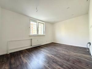 Prodej bytu 2+1, Ostrov, Jungmannova, 52 m2