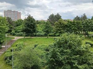 Pronájem bytu 1+1, Most, Javorová, 33 m2