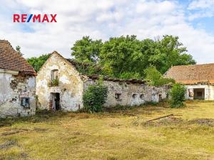 Prodej zemědělské usedlosti, Počedělice, 2500 m2