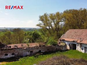 Prodej zemědělské usedlosti, Počedělice, 2500 m2