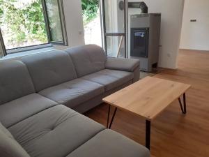 Prodej vícegeneračního domu, Slatina nad Zdobnicí, 235 m2