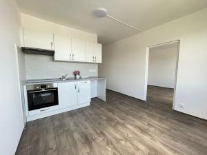 Pronájem bytu 1+1, Litvínov, Školní, 35 m2