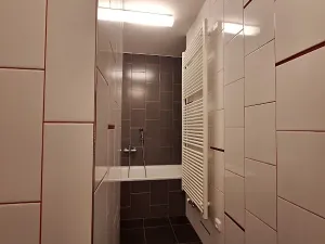 Pronájem bytu 2+kk, Praha - Vršovice, Finská, 55 m2