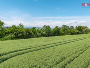 Prodej chaty, Veliká Ves - Podlesice, 98 m2