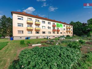 Prodej bytu 2+1, Kostelec nad Orlicí, Seifertova, 56 m2