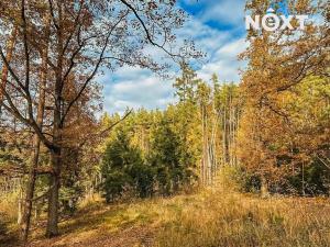 Prodej lesa, Ostřetín, 13718 m2