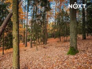 Prodej lesa, Ostřetín, 13718 m2