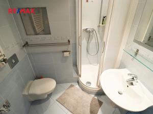 Pronájem bytu 1+kk, Praha - Záběhlice, Mattioliho, 30 m2