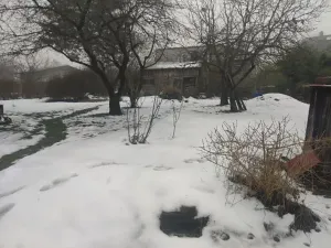 Dražba rodinného domu, Nový Bor, Husova, 80 m2