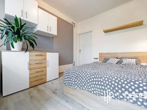 Prodej bytu 3+1, Olomouc, Lazecká, 62 m2