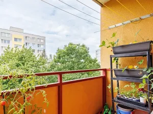Prodej bytu 3+1, Olomouc, Lazecká, 62 m2