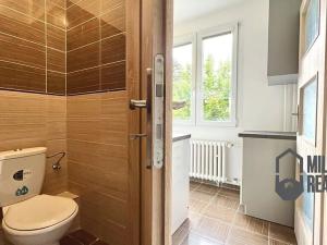 Pronájem bytu 3+1, Liberec, Konopná, 64 m2