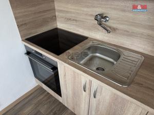 Pronájem bytu 1+1, Jílové - Kamenná, Okružní, 34 m2