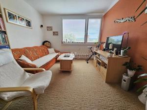 Pronájem bytu 2+1, Nový Jičín, Dlouhá, 54 m2