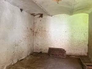Prodej zemědělské usedlosti, Chornice, 190 m2
