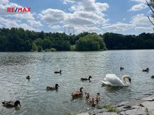 Pronájem bytu 2+kk, Praha - Záběhlice, Podle náhonu, 46 m2
