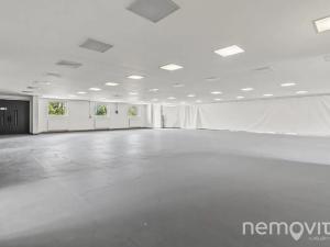 Pronájem výrobních prostor, Praha - Letňany, Lovosická, 410 m2