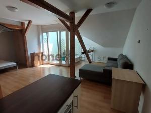 Pronájem bytu 1+kk, Brno, Údolní, 46 m2