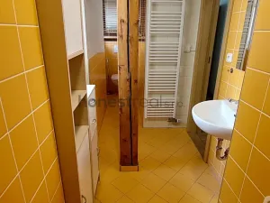 Pronájem bytu 1+kk, Brno, Údolní, 46 m2
