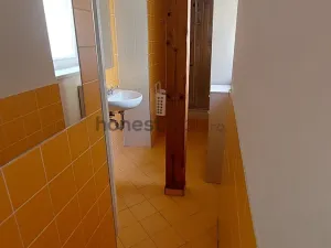 Pronájem bytu 1+kk, Brno, Údolní, 46 m2