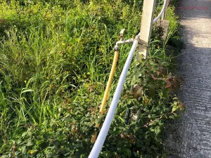 Prodej zemědělské usedlosti, Pace del Mela, Itálie, 128 m2