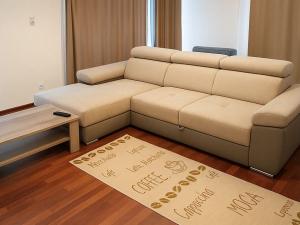Prodej bytu 2+kk, Praha - Žižkov, Olšanská, 79 m2