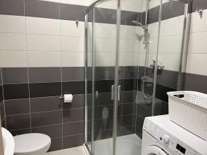 Pronájem bytu 2+kk, Olomouc, Janského, 62 m2