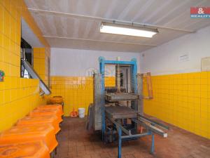 Prodej výrobních prostor, Žlutice, Mlýnská, 320 m2