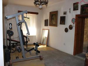 Prodej komerční nemovitosti, Droužkovice, Rudé armády, 600 m2