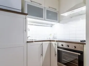 Pronájem bytu 1+kk, Praha - Žižkov, Jeronýmova, 35 m2