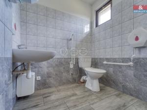 Prodej historického objektu, Starý Kolín, Za poštou, 3398 m2