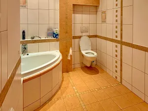 Prodej domu na klíč, Třebíč, L. Pokorného, 251 m2