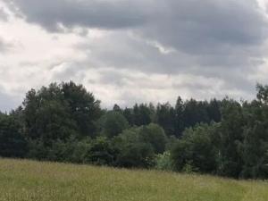 Prodej pozemku, Pomezí nad Ohří, 39941 m2