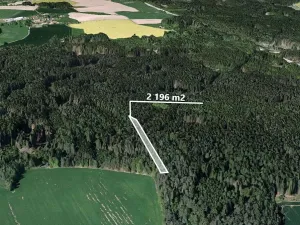 Prodej lesa, Studený, 2196 m2