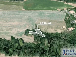 Prodej lesa, Katusice, 1936 m2