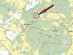 Prodej lesa, Pačejov, 4029 m2