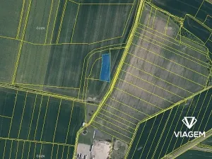 Prodej pole, Vinařice, 3640 m2