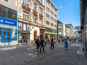 Pronájem bytu 2+kk, Brno, Česká, 55 m2