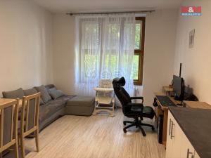 Prodej bytu 2+kk, Pardubice - Bílé Předměstí, Bubeníkova, 45 m2