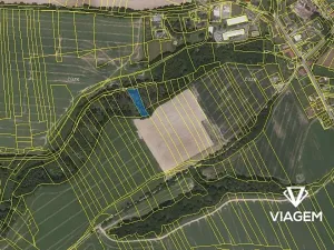 Prodej lesa, Skalice, 1800 m2