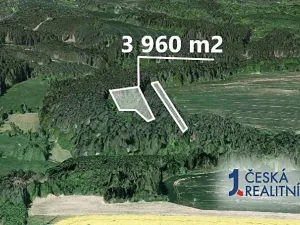 Prodej lesa, Libež, 3360 m2