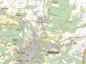 Prodej lesa, Trhové Dušníky, 909 m2