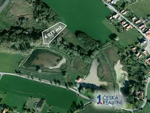 Prodej podílu lesa, Vračovice-Orlov, 2035 m2