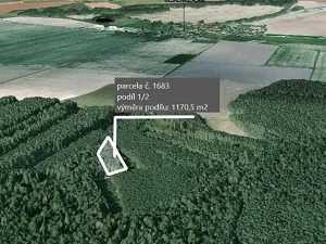 Prodej podílu lesa, Vlastiboř, 1170 m2