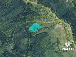 Prodej lesa, Vsetín, Rokytnice, 10655 m2
